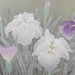 Mitsuei Saito Gallery